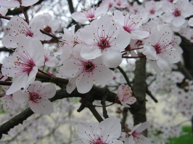 052