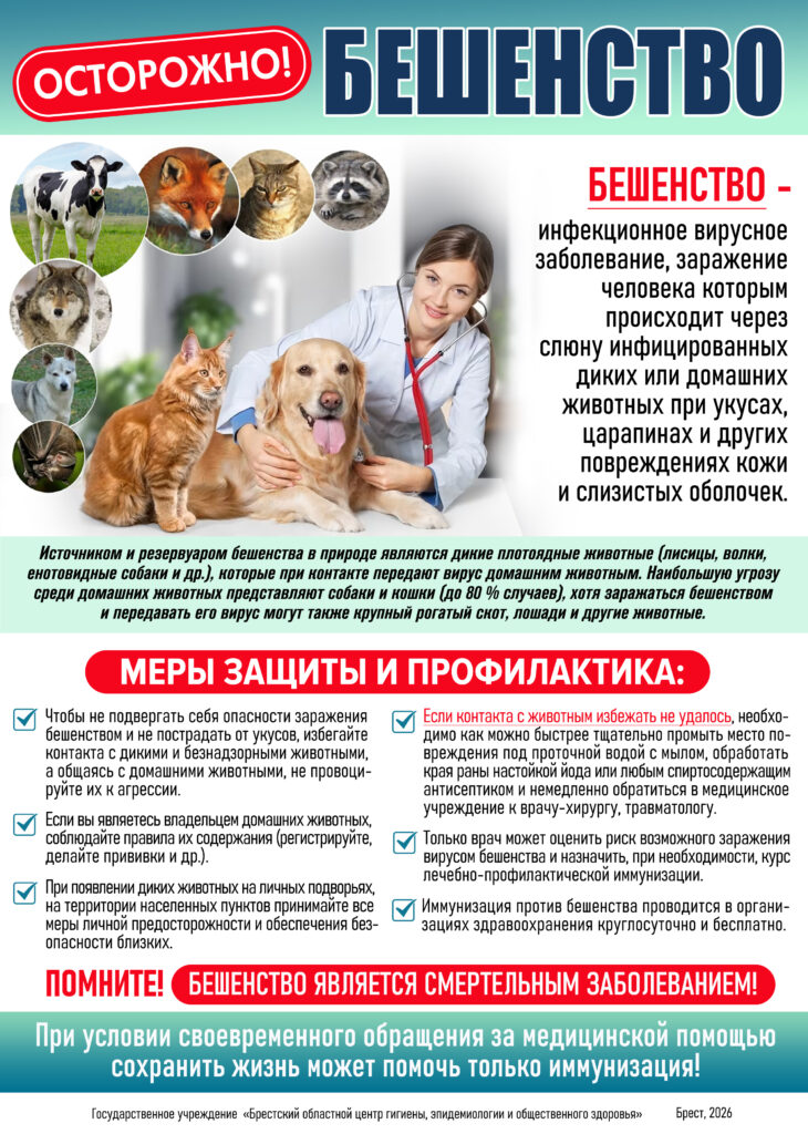 beshenstvo 2026 730x1024