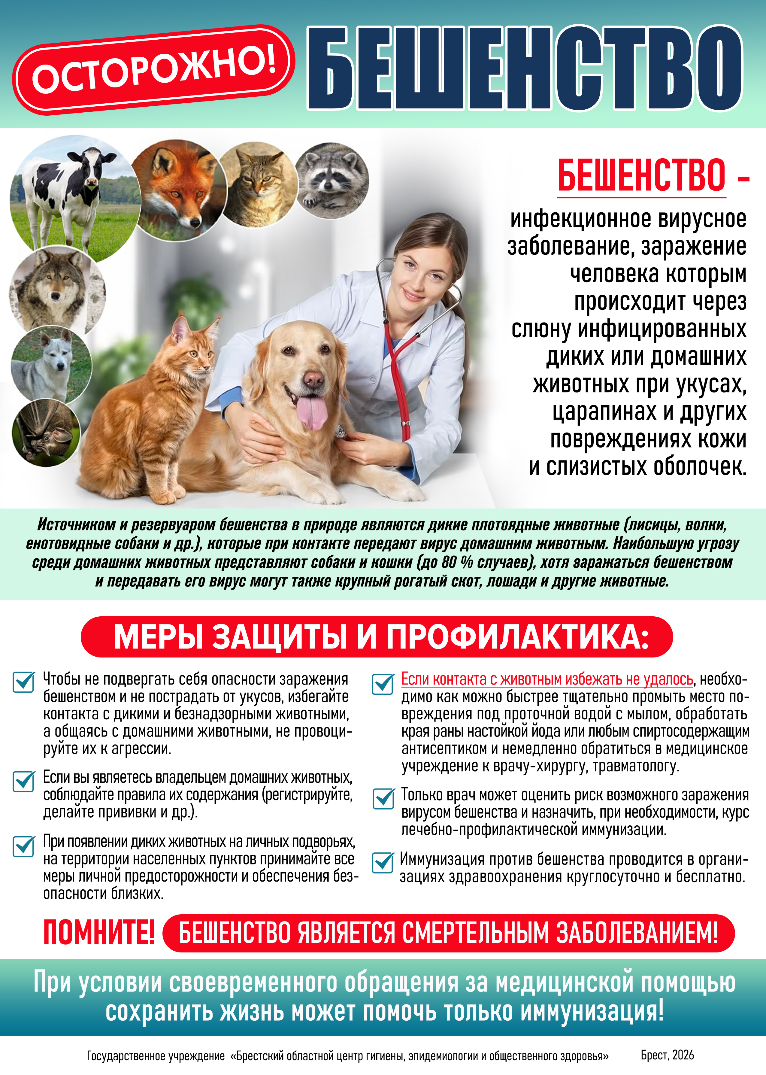 beshenstvo 26
